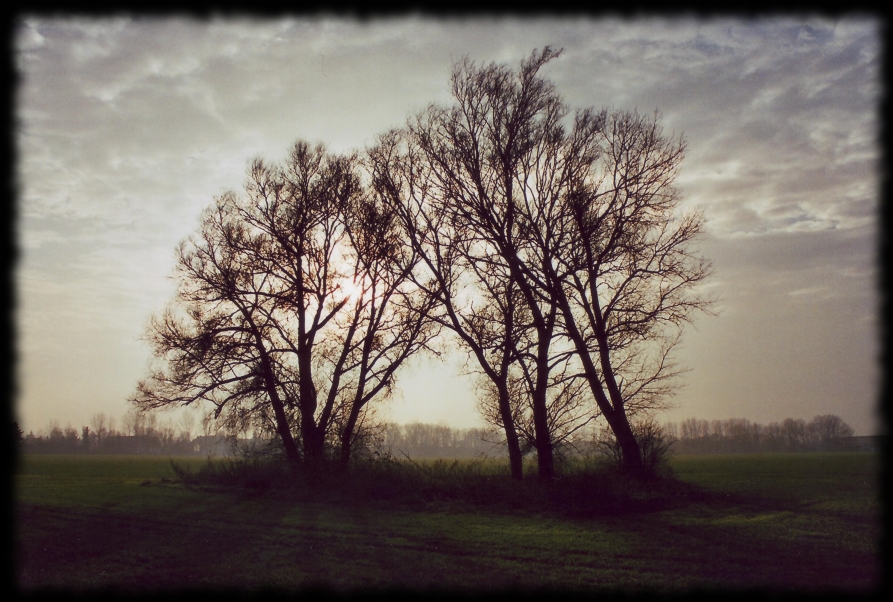 Norden-Bilder